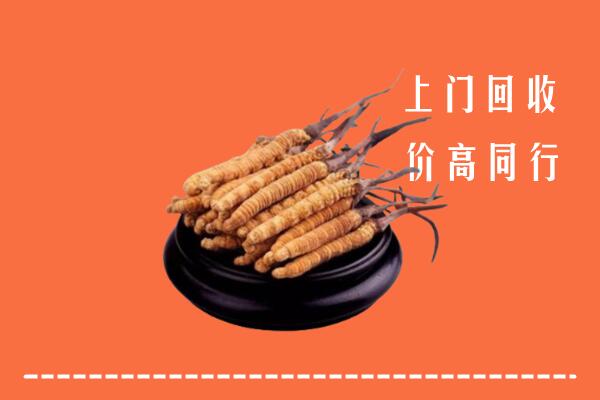 高价求购：临湘市回收散虫草